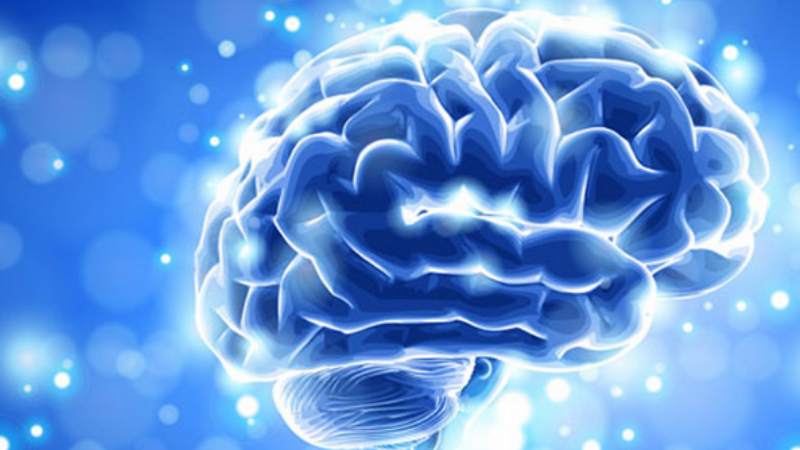 Мозг без кислорода живет. Биохакнг головного мозга. Биохакинг с умом. Академия памяти Ясный ум. Улучшение когнитивных функций.