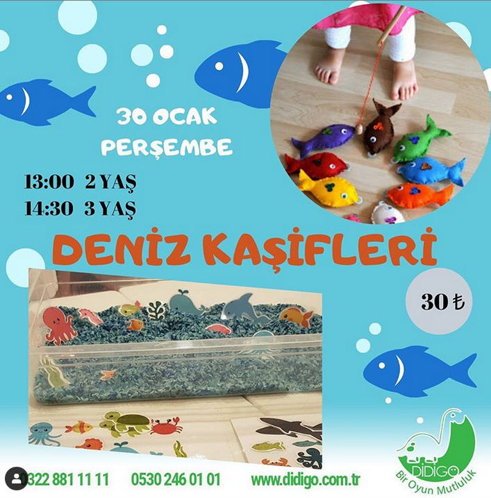 deniz-kasifleri